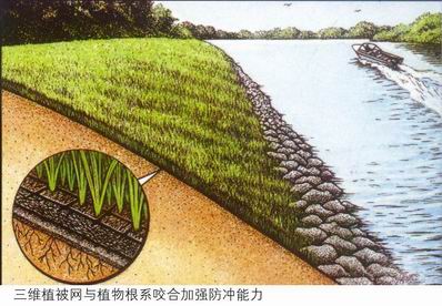 三维植被网厂家