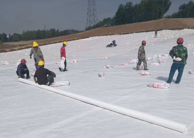 土工膜施工现场