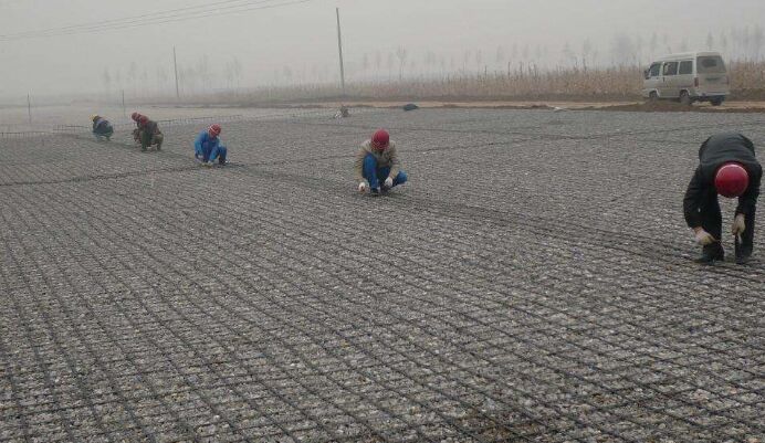 北京钢塑土工格栅现场