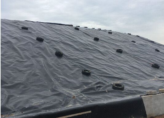 土工膜施工现场